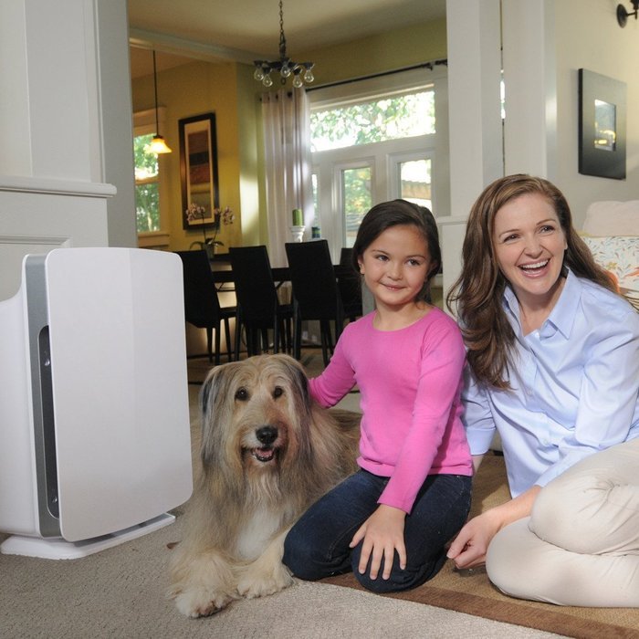 Alen BreatheSmart Customizable Air Purifier with HEPA-Pure Filter for Allergies and Dust (White, 1-Pack) N19