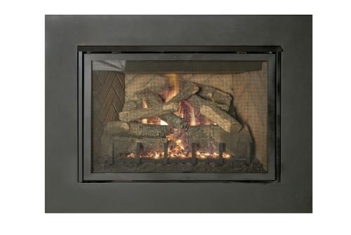 Direct Vent 25 inch Insert with Mesh Barrier Screen - Natural Gas