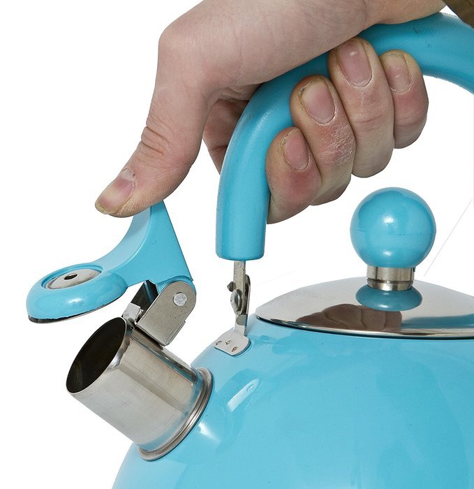 Lifetime Cooking Retro Style 2.5L Whistling Kettle Stainless Steel Green