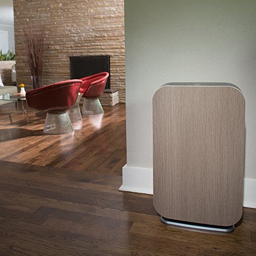 Alen BreatheSmart FLEX Customizable Air Purifier with HEPA-Pure Filter to Remove Allergies and Dust (Weathered... N5