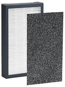 GermGuardian FLT4100 True HEPA Replacement Filter E for AC4100 Air Purifier (2 PACKS)