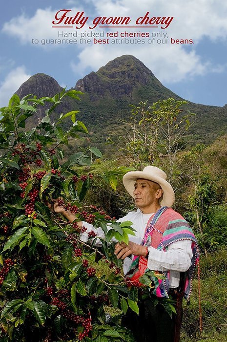 Medium / Dark Roast AWARD WINNER (2.2 lbs) Whole Bean Arabica Coffee -Caf&eacute; de Loja Premium&ndash; Roasted with Best... N2