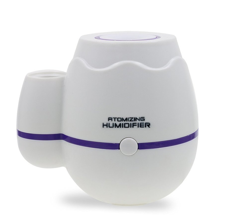 GetMine Flower Arranging and Air Humidification Multi-use Home or Office Desktop Mini Mist Humidifier, Pink N4