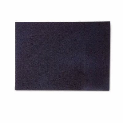Charcoal Pre-Filters for Hunter Model 30401- 2 Pack