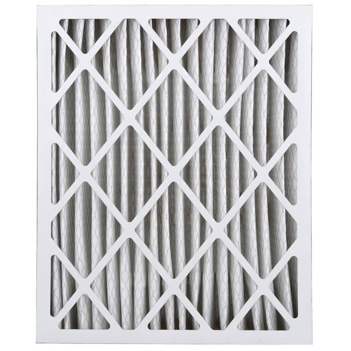 Extreme Allergen Air Cleaning Filter, 2 Pack N3