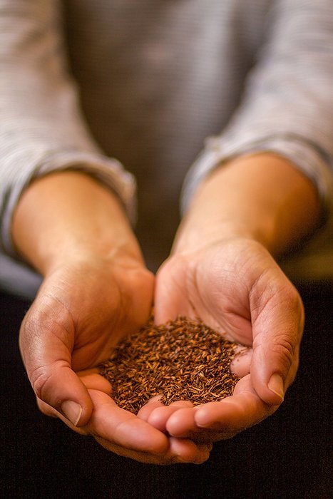Rooibos Chai Tea - South African Red Tea - Loose Leaf - Bulk - Non GMO - 181 Servings N49