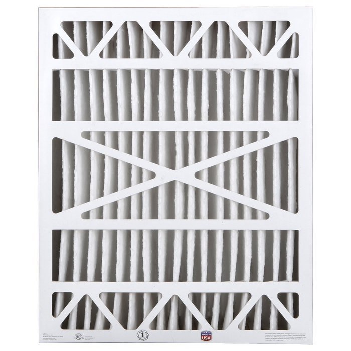 Extreme Allergen Air Cleaning Filter, 2 Pack N5