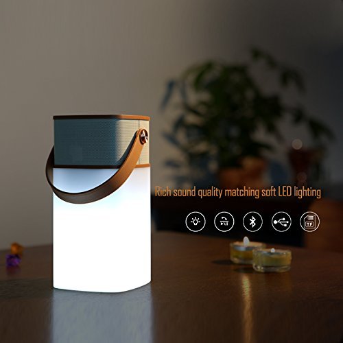 ROCK "Mulite" waterproof Wireless Bluetooth Speaker Portable, with Dimmable LED Light, TF Card Slot (Grey) N6