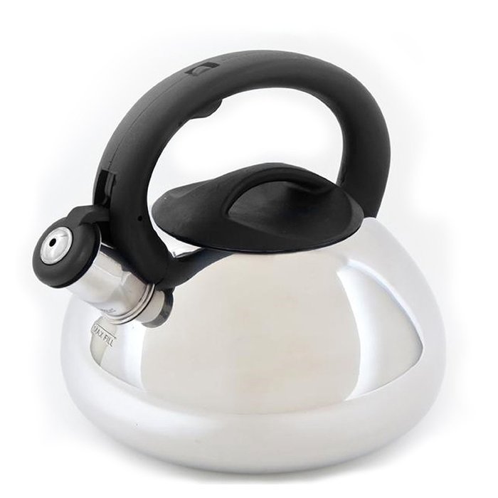 Mr. Coffee Flintshire Stainless Steel Whistling Tea Kettle, 1.75-Quart N2