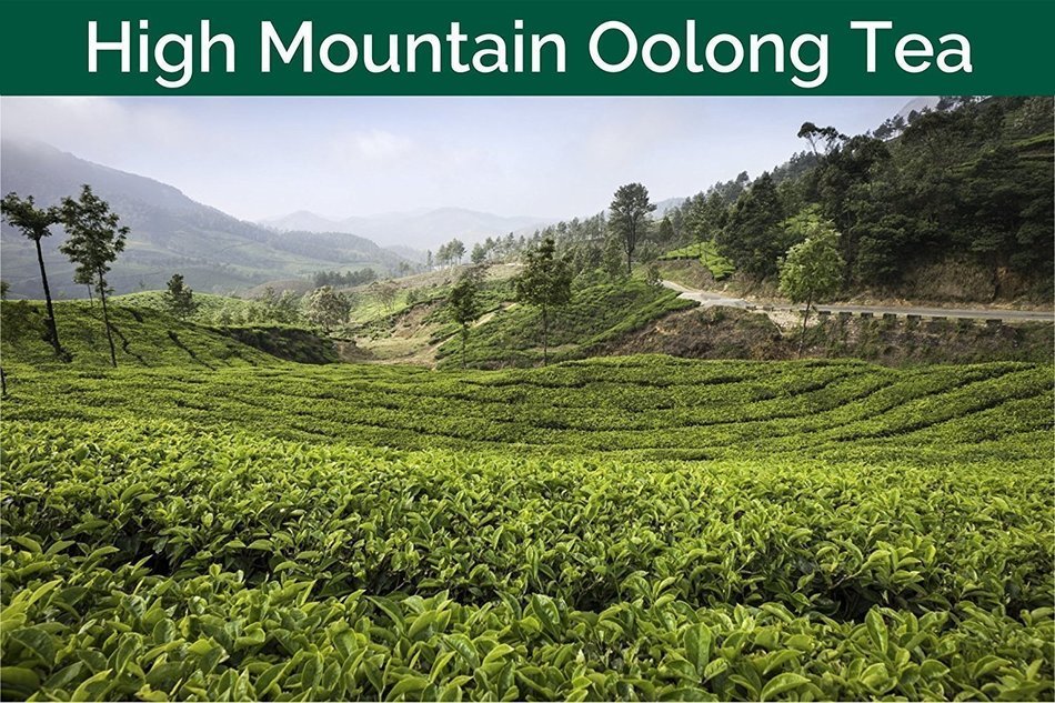 High Mountain Oolong Tea Leaves from the Himalayas, 100% Natural, Hand-plucked in High Elevation Plantations in... N17