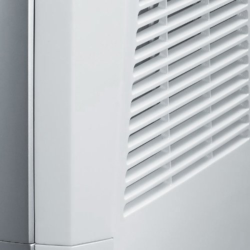 Delonghi 220 V Tasciugo AriaDry Light Dehumidfier free image download