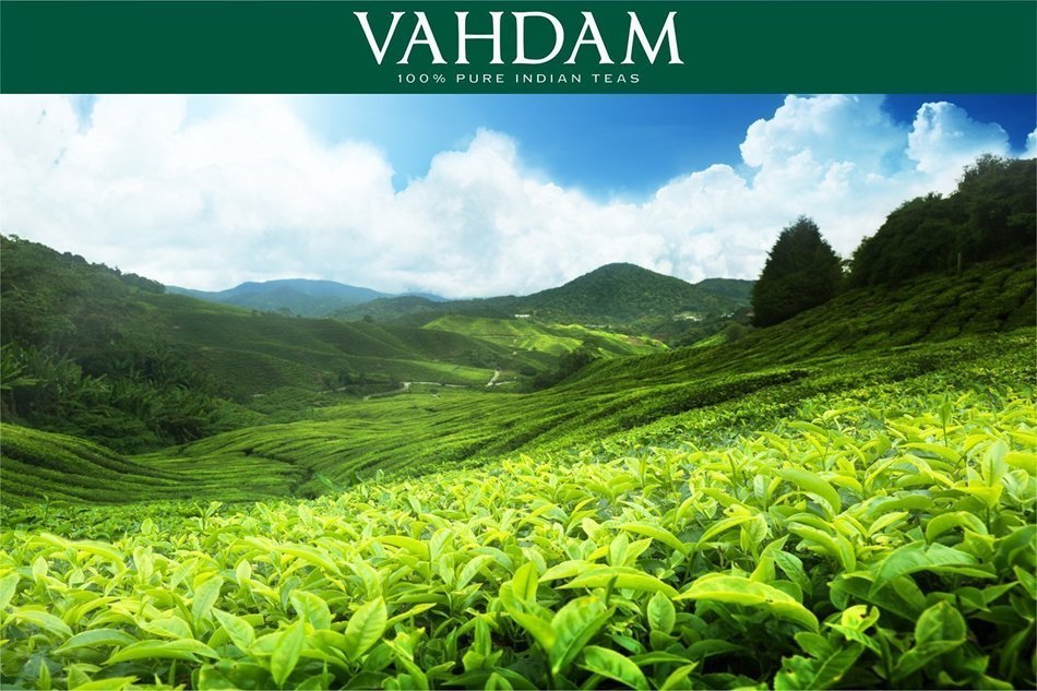 High Mountain Oolong Tea Leaves from the Himalayas, 100% Natural, Hand-plucked in High Elevation Plantations in... N38
