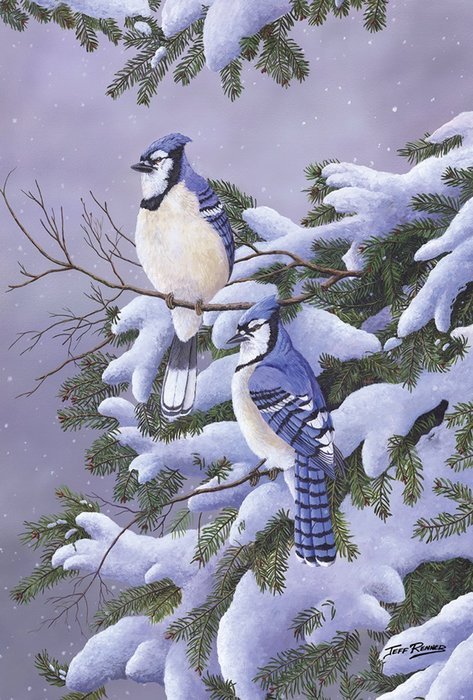 Toland Home Garden 1110426 "Two Blues Winter/Birds" Decorative Garden Flag, 12.5" x 18"