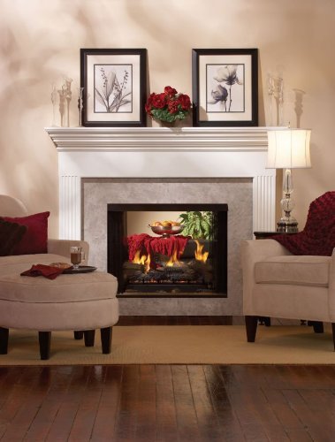 Premium 36 DV See-Through Fireplace DVP36SP32EN - Natural Gas