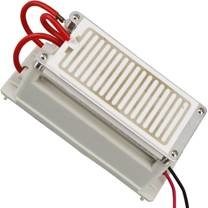Portable Ozone Generator 110V 10g Double Ceramic Plate Integrated Ozone Generator Sterilizer Air Purifier Air... N2