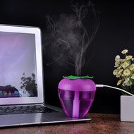 Household Ultrasonic Humidifier/ USB Strawberry Humidifier with LED night light for home office car N2