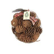 Scented Pine Cones In Bag (Pine)
