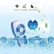 Meyoung Handheld USB Misting Fan with Personal Cooling Humidifier for Moisturizing, Home, Office and Travel (Blue)