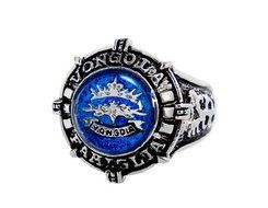 Dfunlife Anime Hitman Reborn 3rd Generation Vongola Ring with Chain (Blue)