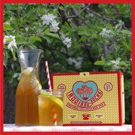 ROOIBOS ROCKS 100 Delicious South African Red Bush 100% Natural Organic, Caffeine Free, Unbleached Tea Bags -... N4