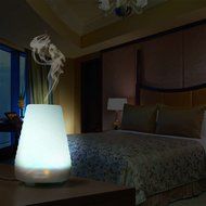 Codo 100 ml Aromatherapy Essential Oil Diffusers Portable Ultrasonic Cool Mist Aroma Humidifier with Color LED... N3