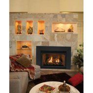 Direct Vent Fireplace Insert DV35IN73LN - Natural Gas