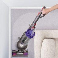 Radial Root Cyclone Ball Animal Upright Vacuum N2