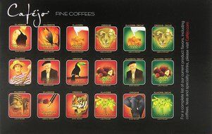 Cafejo K-Cups, Costa Rica Coffee, 50 Count N204
