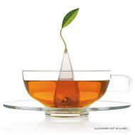 Tea Fort&eacute; Warming Joy Presentation Box Featuring Seasonal &amp; Festive Tea Blends - 20 Handcrafted Pyramid Tea Infusers