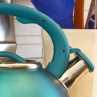Primula Avalon Whistling Kettle - Whistling Spout, Locking Spout Cover, and Stay-Cool Handle - Stainless Steel... N2
