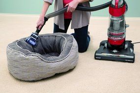 BISSELL CleanView Complete Pet Rewind Bagless Upright Vacuum, 1319 - Corded