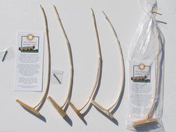 Weather Sticks (Set of 10)