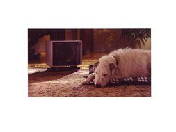 Seabreeze SOH7000TA Pulse Action "Heat Sweep" with SMART "ThermaFlo" Technology N2