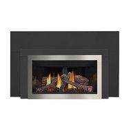 Inspiration Basic Fireplace Insert - Natural Gas