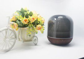 Gaodear Electric Aromatherapy Essential Oil Diffuser Humidifier Air Purifier for Whisper-Quiet Cool Mist Humidifier... N4