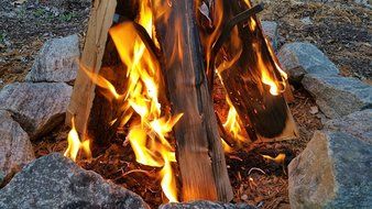 Bonfire Gear Vertical Fire Grate