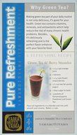 Yamamotoyama - Original Unsweetened Iced Green Tea Mix 1.4 Oz.