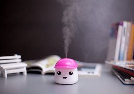 INST LeBao Mini Humidifier with USB Cable, Ideal for Bedrooms, Living Rooms, etc. (Rose red)