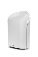 Rabbit Air BioGS 2.0 Ultra Quiet HEPA Air Purifier (SPA-550A) N2