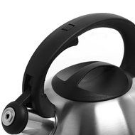 MyGift Stainless Steel Tea Kettle, 3 Quarts Whistling Water Pot, Silver N4
