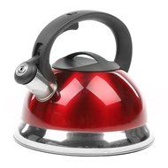 MyGift Stainless Steel Tea Kettle, 3 Quarts Whistling Water Pot, Silver N6
