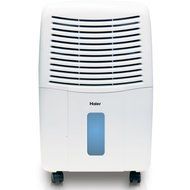 65 Pt. Dehumidifier