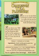American Classic Pyramid Teabags, Island Green Mint, 12 Count