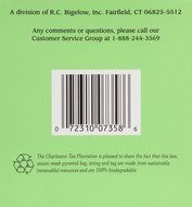 American Classic Pyramid Teabags, Island Green Mint, 12 Count N2