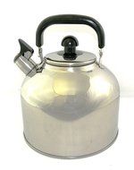 Ballington 6.3 Liter Stainless Steel Tea Kettle with Infuser