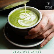Shokku Organic Japanese Matcha Green Tea Powder (4 Oz, FDA 100% Organic) Whisk Encha for Natural Instant Energy... N4