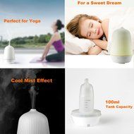 NAMEO 100ML Capacity Cool Mist Ultrasonic Humidifier, Aromatherapy Essential Oil Diffuser with Anti-dry Protection