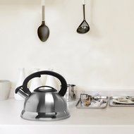MyGift Stainless Steel Tea Kettle, 3 Quarts Whistling Water Pot, Silver N11