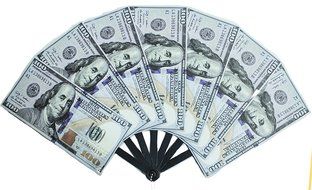 Big Bucks Novelty One Hundred Dollar Bill Personal Hand Fan