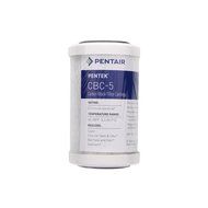 Pentek CBC-5 Carbon Block Filter Cartridge, 40 to 180 degrees F